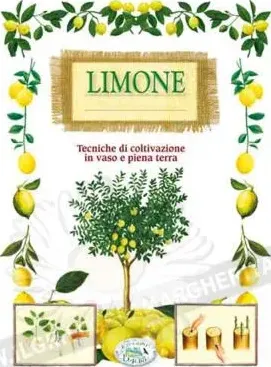 Limone