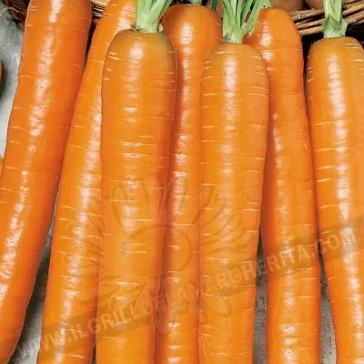 Carota Nantese 2 - Semi per orto