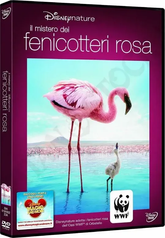 Il Mistero dei Fenicotteri Rosa DVD Blu Ray