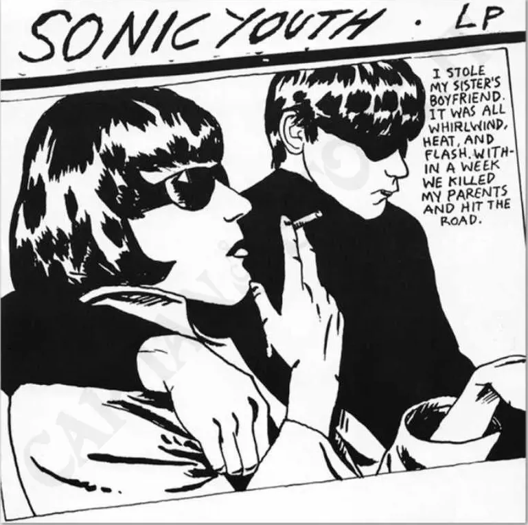 Sonic Youth Goo CD