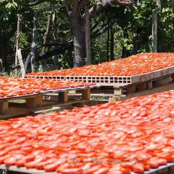 Pomodori secchi-prodotti essiccati 100% italiani