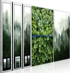 Quadro  Forest (Collection)