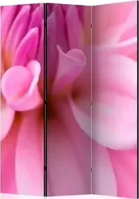 Paravento  Flower petals  dahlia [Room Dividers]