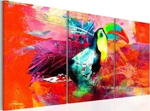 Quadro  Colourful Toucan