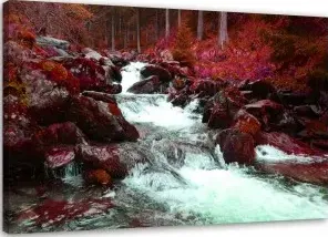 Quadro su tela, Torrente di montagna foresta rosso