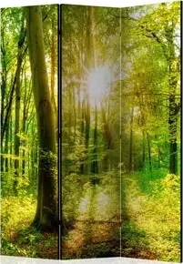 Paravento  Forest Rays [Room Dividers]