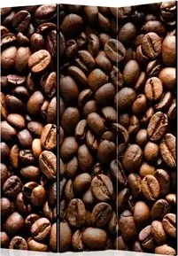 Paravento  Roasted coffee beans [Room Dividers]