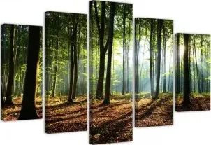 Quadri Quadro 5 pezzi Stampa su tela Foresta Verde Natura