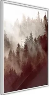 Poster  Forest Fog