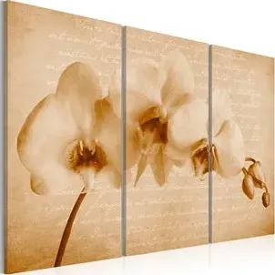 Quadro  orchidea (vintage)