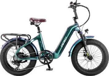 FAFREES F20 Master E-bike 20*4.0 pollici pneumatico 500W trazione posteriore 25km/h velocità massima-Verde