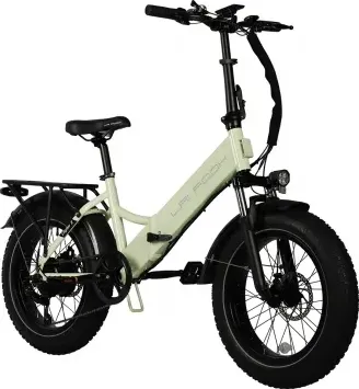 LAIFOOK Cityfun S Bicicletta elettrica pieghevole, motore da 250W, batteria da 48V 10.4AH, pneumatici grassi da 20*4.0" - Verde