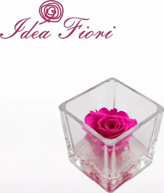 Rosa stabilizzata fucsia in vetro ars nova - idea fiori