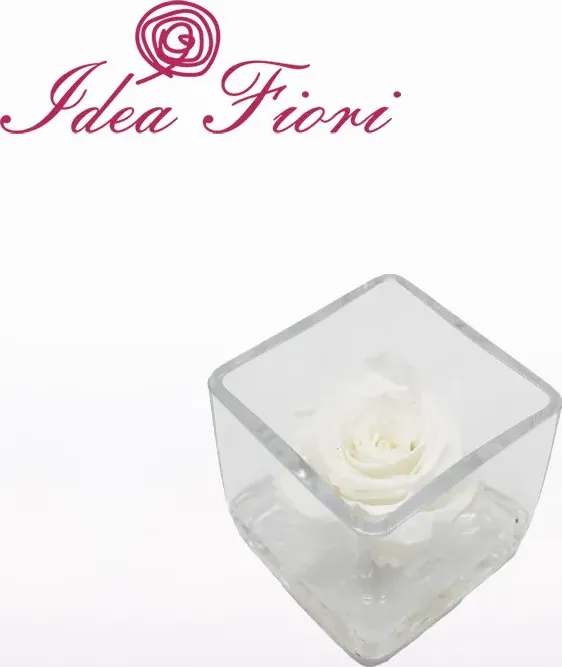 Rosa stabilizzata bianca in vetro ars nova - idea fiori