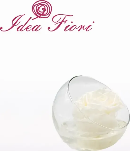 Rosa stabilizzata bianca in vetro sferico ars nova - idea fiori
