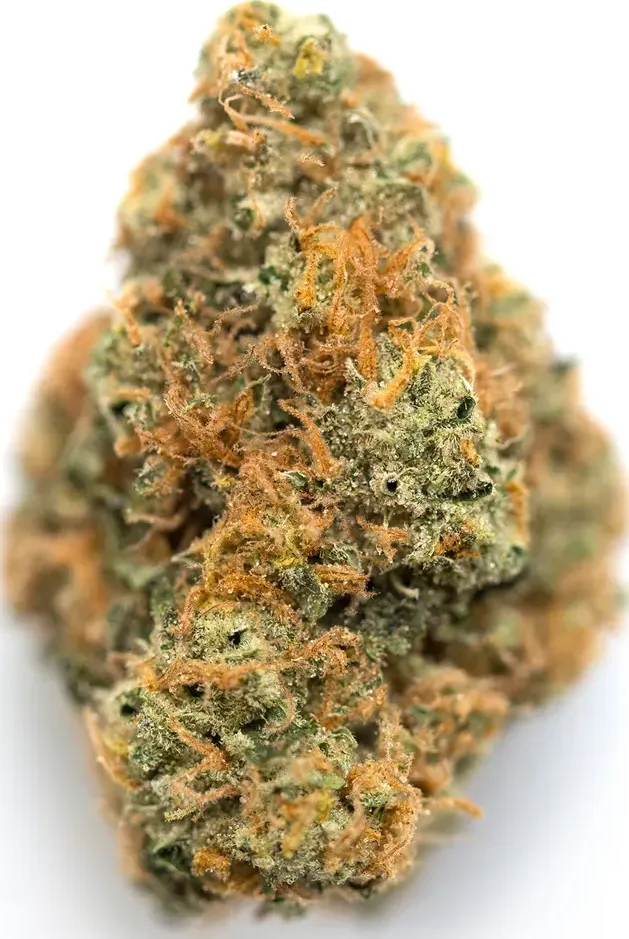 NEW Orange Kush INDICA - 50 grammi - CBD 28% - THC 0,5%