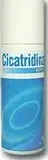 Cicatridina Spray Coadiuvante Ferite 125 ml