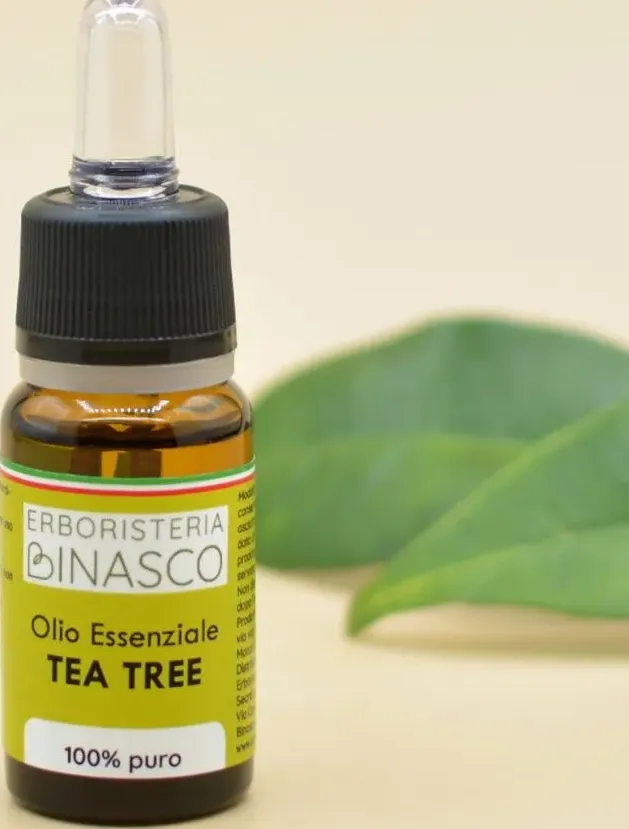 Olio essenziale tea tree - erboristeria binasco