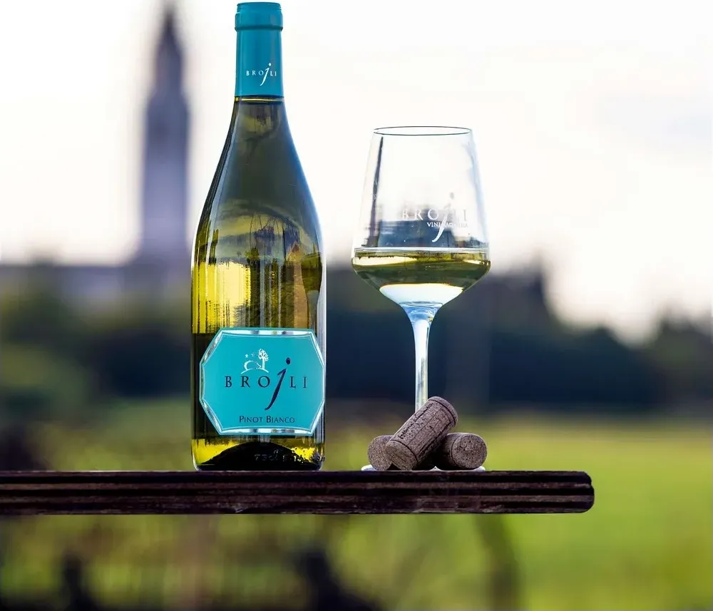 Pinot bianco 2022 - vini brojli aquileia capacità 0,75 l  - vetro