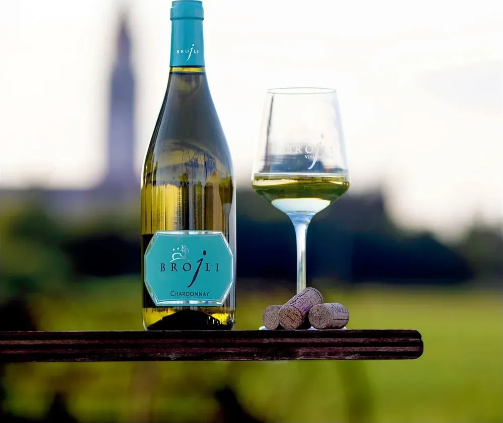 Chardonnay 2022 - vini brojli aquileia capacità 0,75 l  - vetro