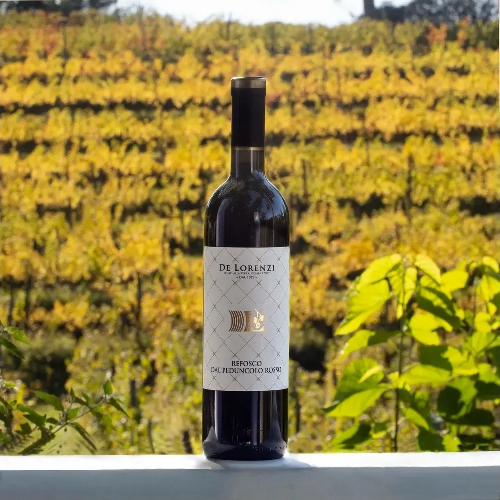 Refosco dal peduncolo rosso doc friuli 2020 - vini de lorenzi capacità 0,75 l  - vetro