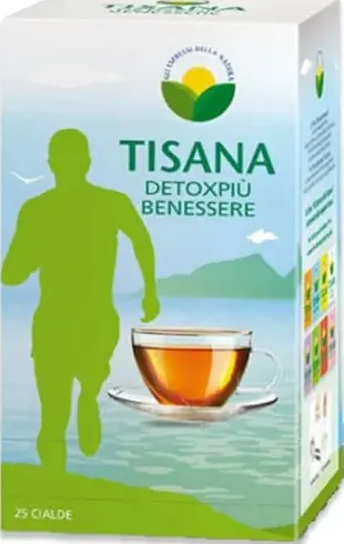 Tisana Detox Benessere Molinari cialde compostabili