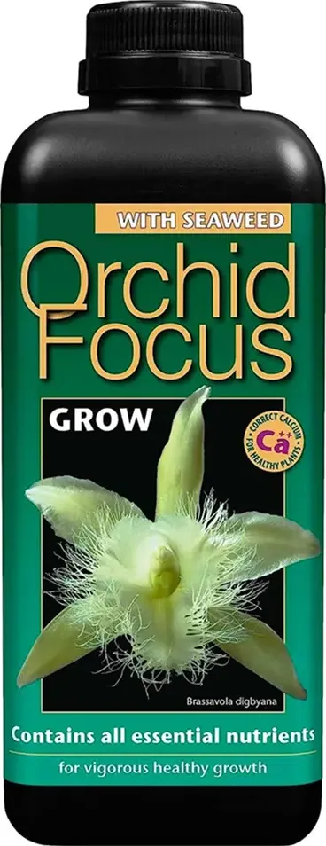 Orchid focus grow - fertilizzante crescita orchidee