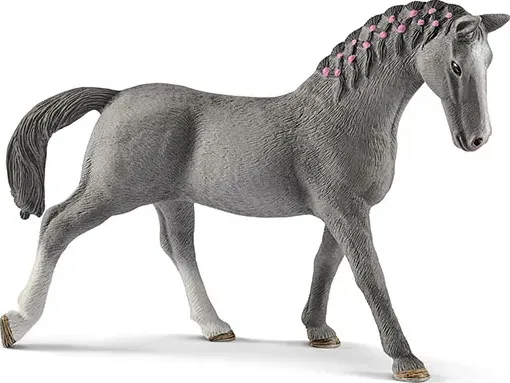 Puledra Trakehner