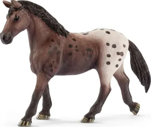 Figura puledra APPALOOSA