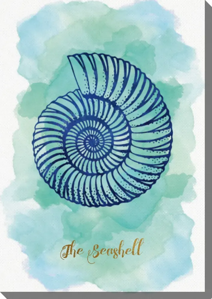 The Seashell