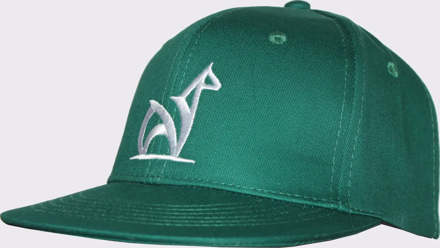 Cappello Snapback Verde