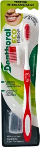 Denthoral, spazzolino ecologico, eco friendly