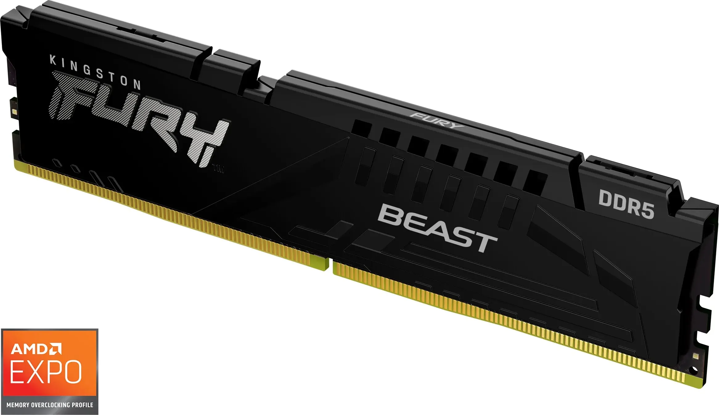 Kingston Furia Bestia (1 x 16GB, 5600 MHz, RAM DDR5, DIMM), Memoria RAM, Nero