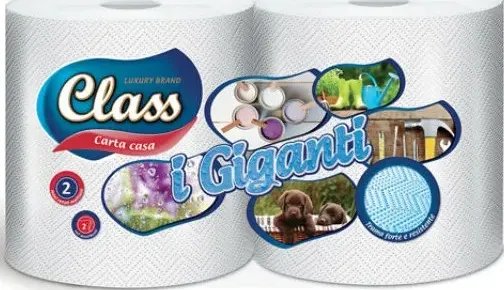 Carta casa class asciugatutto i giganti 2 rotoli