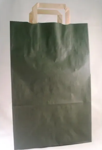 Busta carta shopper cm 32x17x45 verde