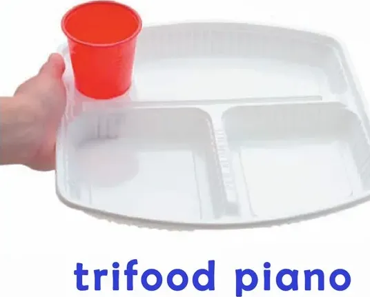 Piatto plastica trifood piano c/acqua cm 24x24x2